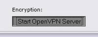 Starten des OpenVPN-Servers
